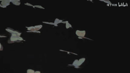 broken image